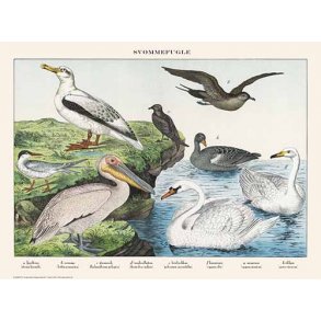 Natur plakat 30x40cm