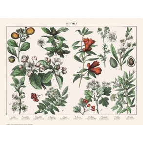 Natur plakat 50x70cm