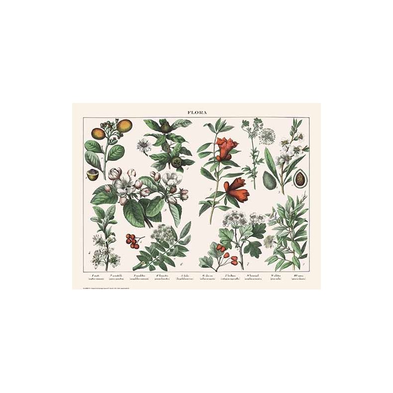 Natur plakat 50x70cm