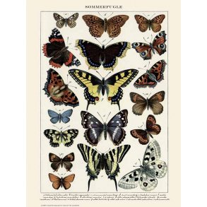 Natur plakat 50x70cm