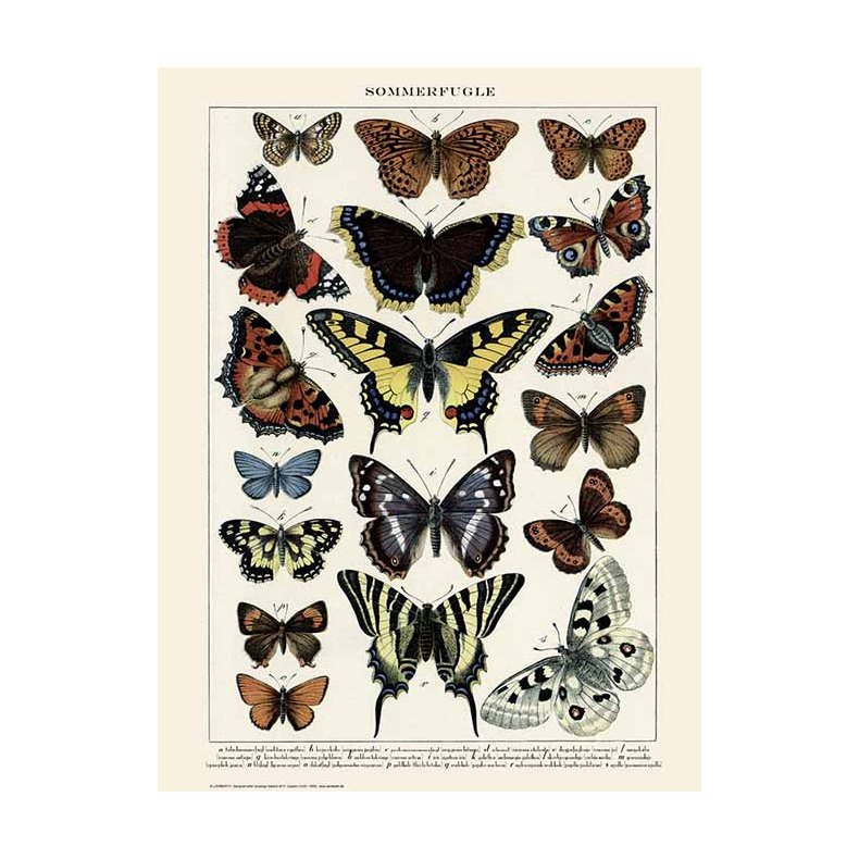 Natur plakat 50x70cm