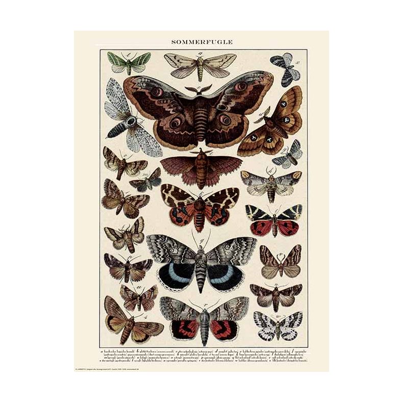 Natur plakat 30x40cm