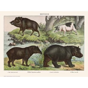 Natur plakat 50x70cm