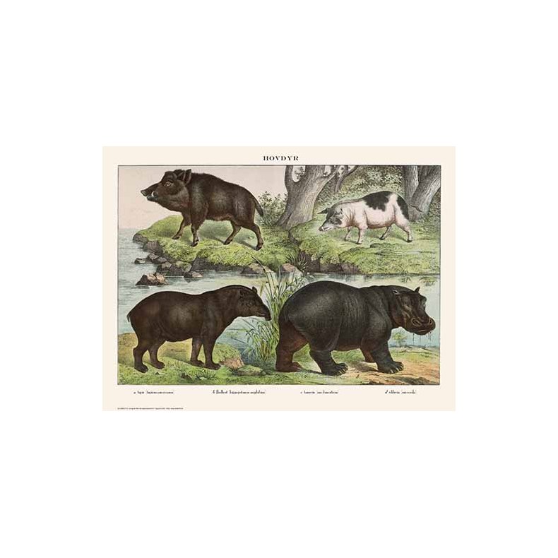 Natur plakat 30x40cm