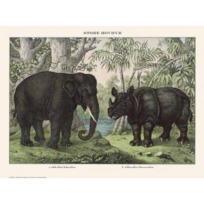 Natur plakat 30x40cm