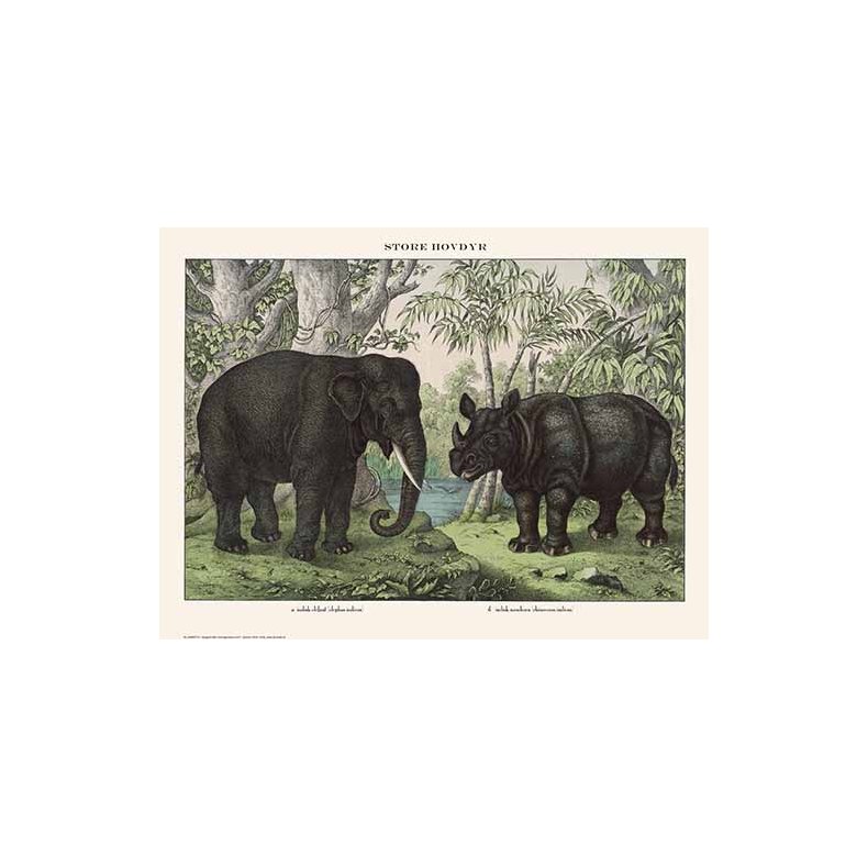 Natur plakat 50x70cm