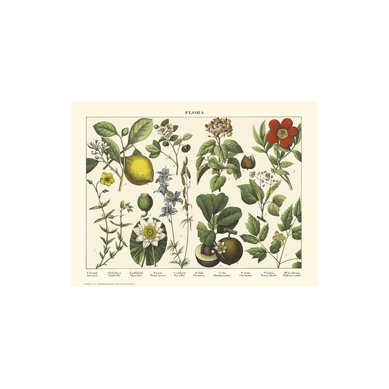 Natur plakat 50x70cm