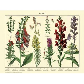 Natur plakat 30x40cm