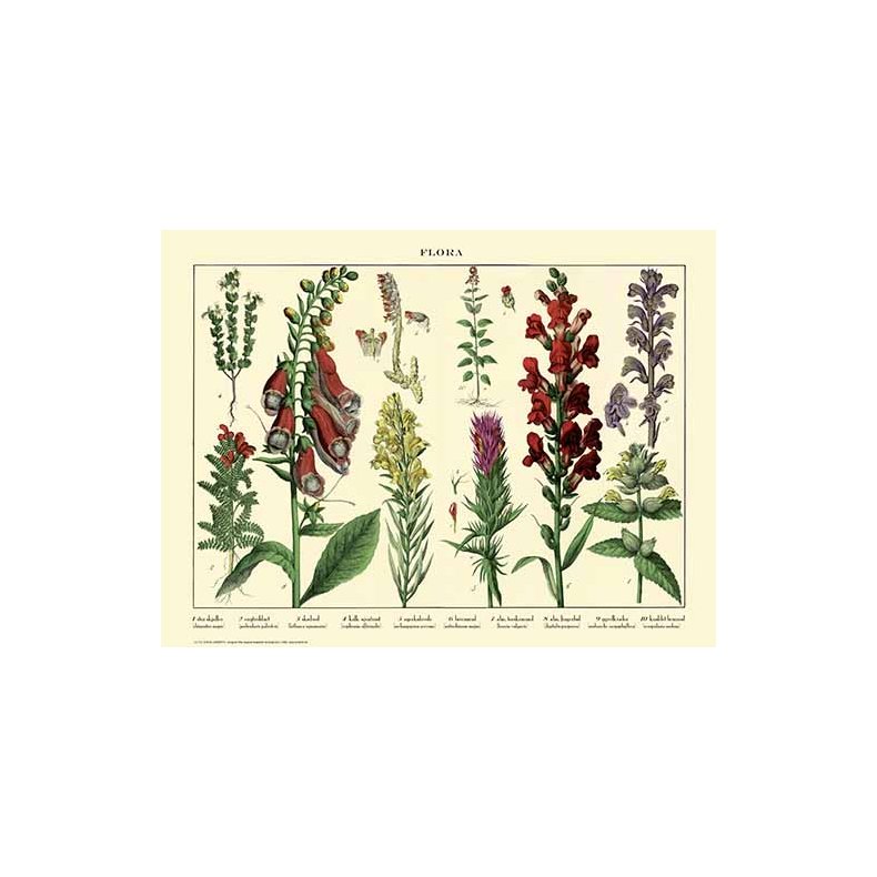 Natur plakat 30x40cm