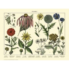 Natur plakat 30x40cm