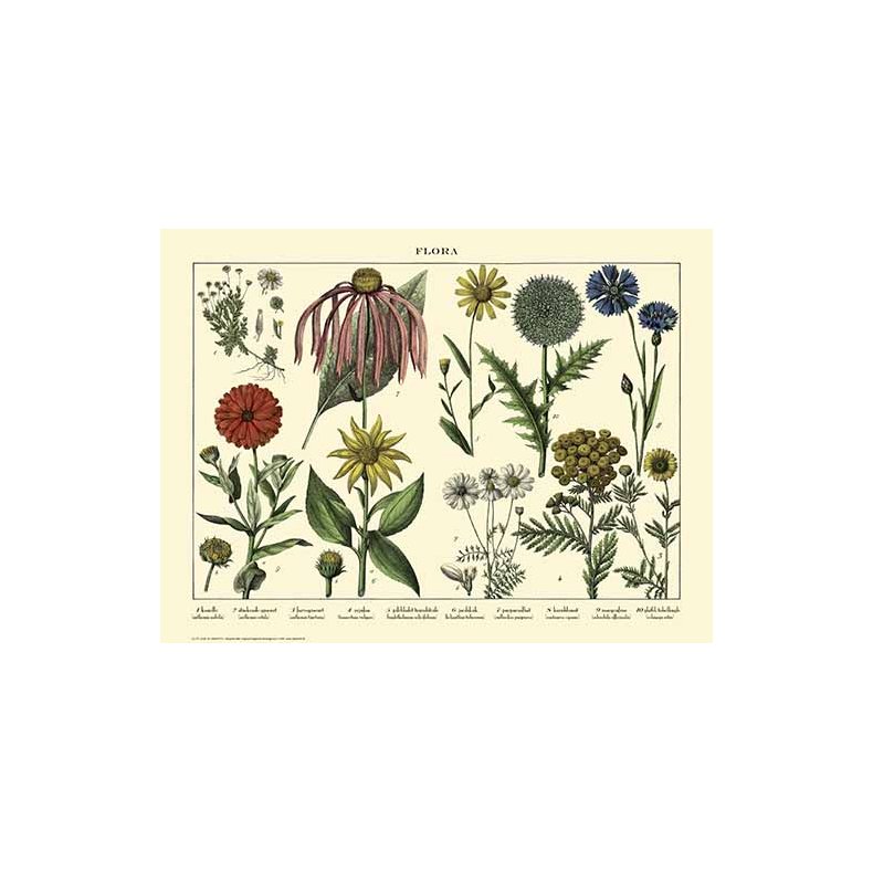 Natur plakat 50x70cm