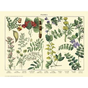 Natur plakat 30x40cm