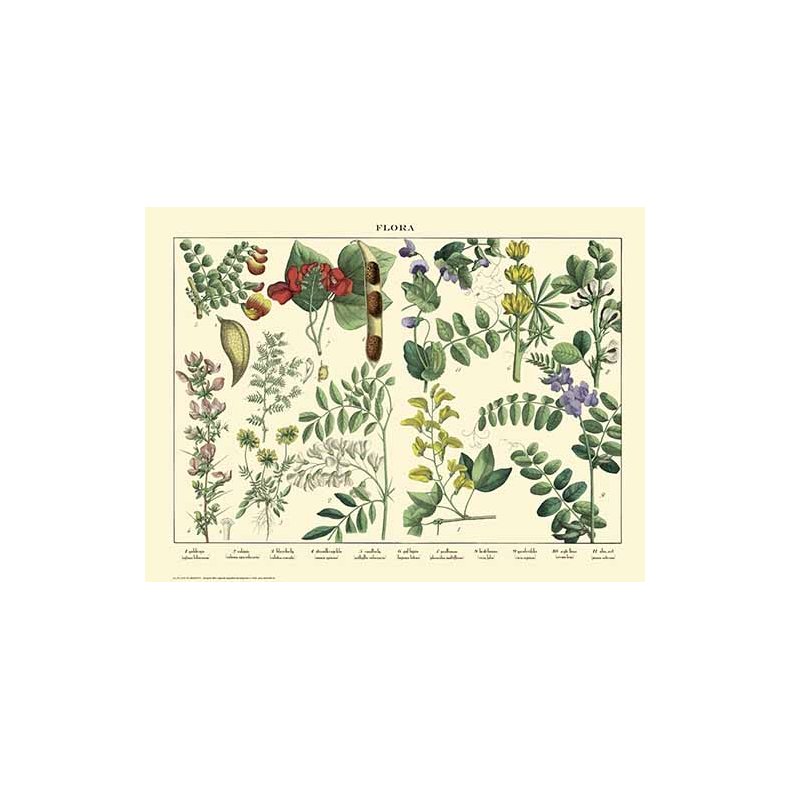 Natur plakat 30x40cm