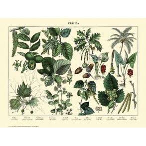 Natur plakat 30x40cm