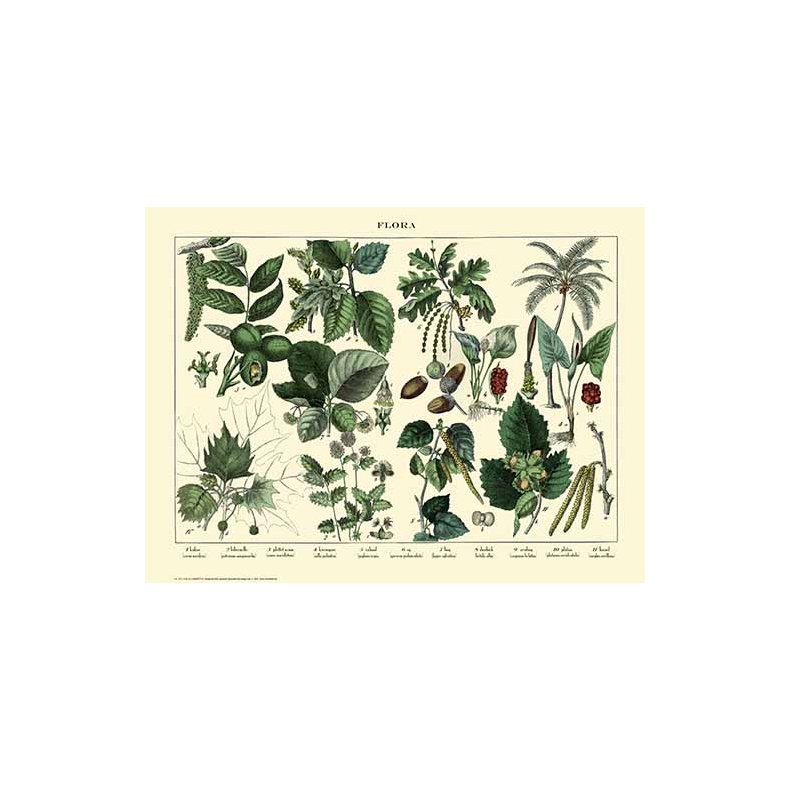 Natur plakat 30x40cm