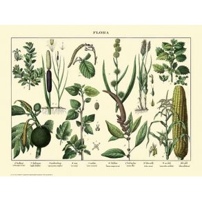 Natur plakat 30x40cm