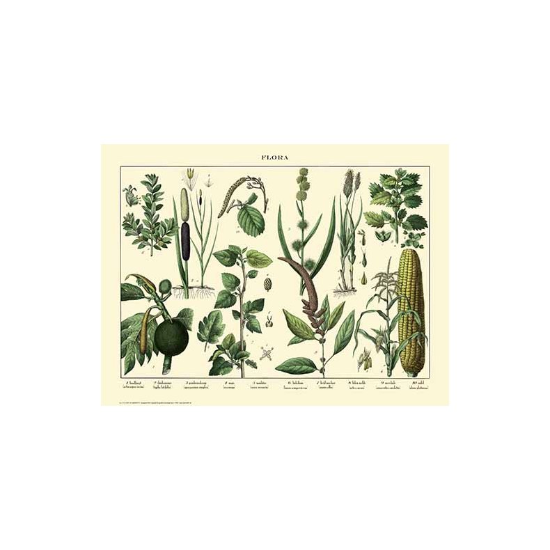 Natur plakat 30x40cm