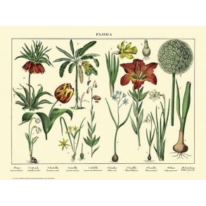 Natur plakat 30x40cm