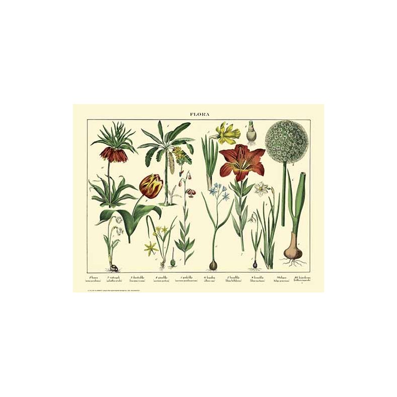 Natur plakat 30x40cm