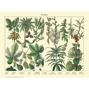 Natur plakat 30x40cm