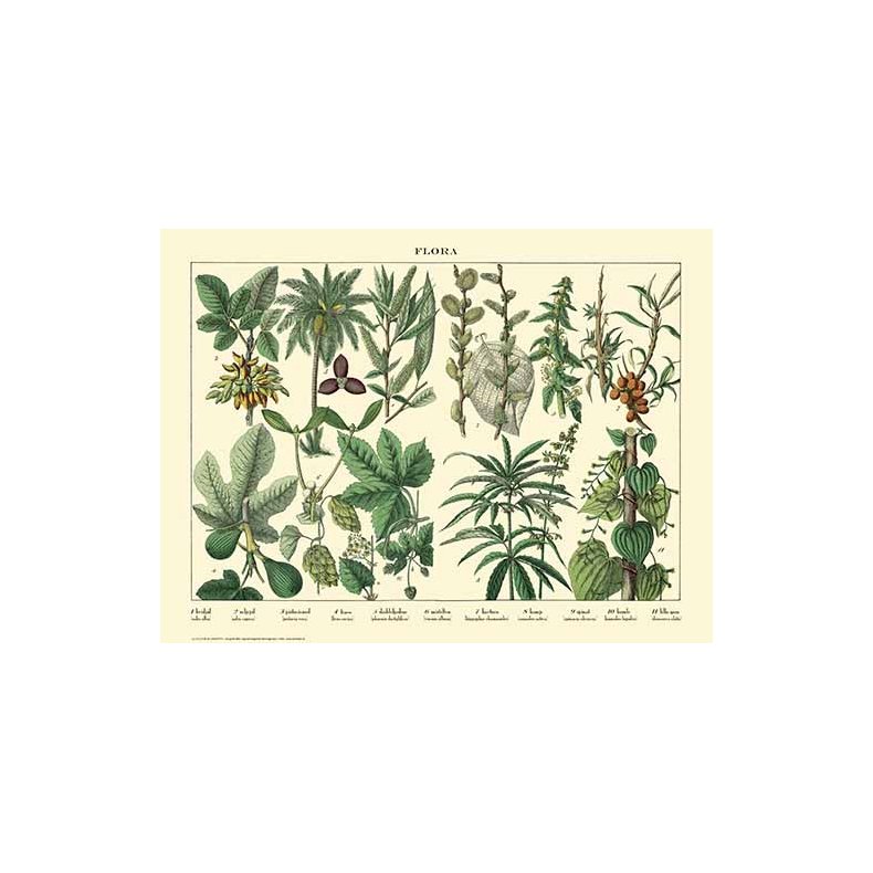 Natur plakat 30x40cm