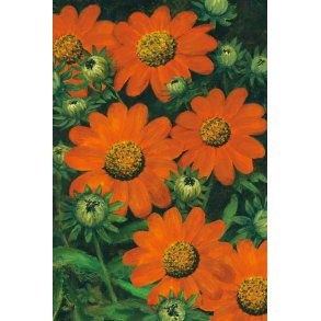 Dobbeltkort m. kulrt konvolut