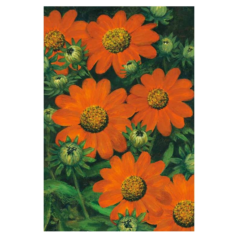 Note Card w. Envelope.