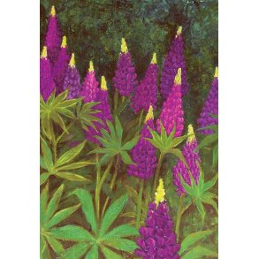 Dobbeltkort m. kulrt konvolut