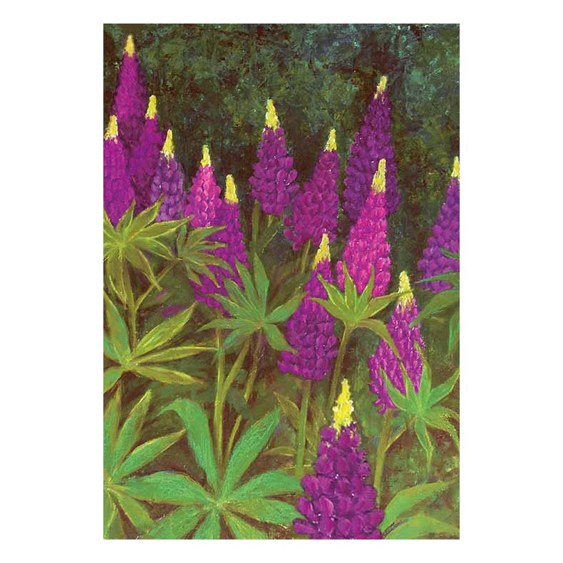 Note Card w. Envelope.