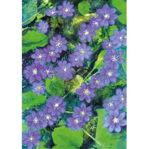 Dobbeltkort m. kulrt konvolut