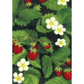 Dobbeltkort m. kulrt konvolut