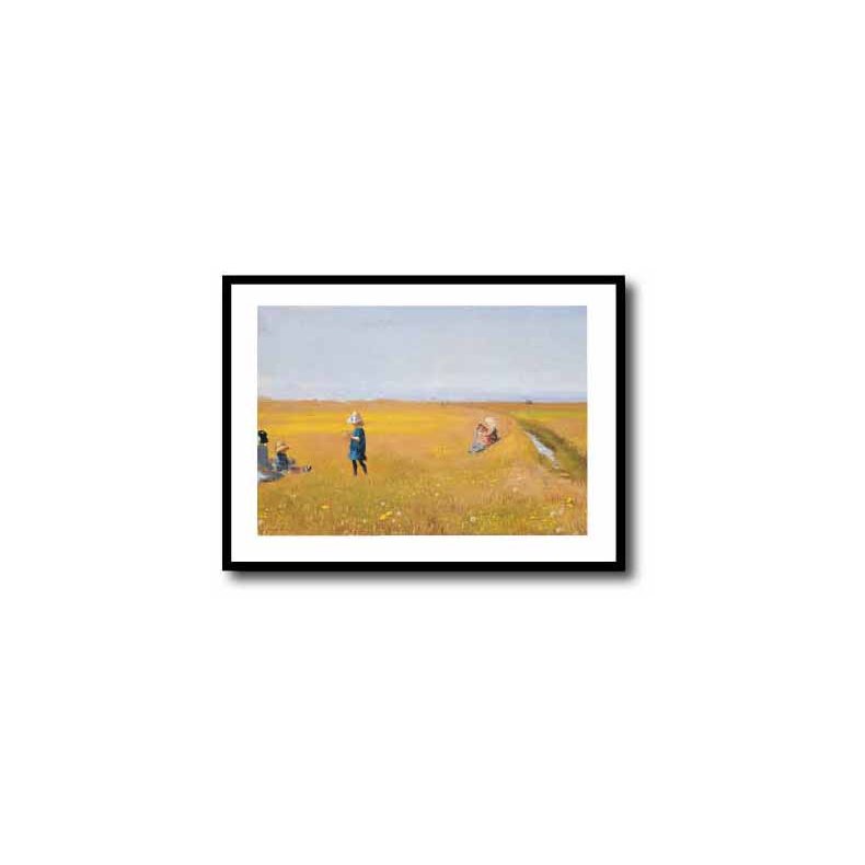 Skagen poster 60x80cm in frame