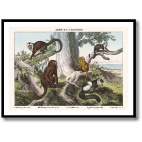 Nature poster 50x70cm in frame