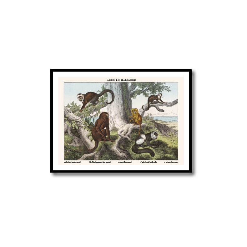 Nature poster 50x70cm in frame