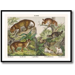 Nature poster 50x70cm in frame