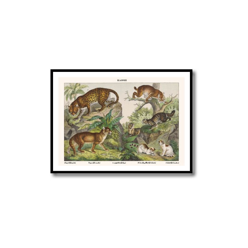 Natur plakat 50x70cm i ramme