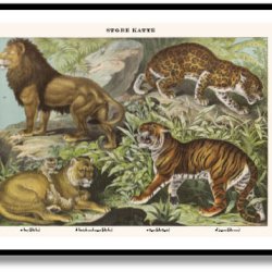 Nature poster 50x70cm in frame