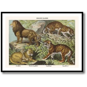 Natur plakat 50x70cm i ramme