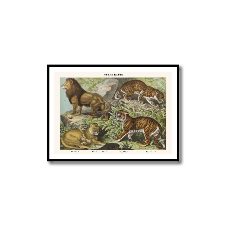 Natur plakat 50x70cm i ramme