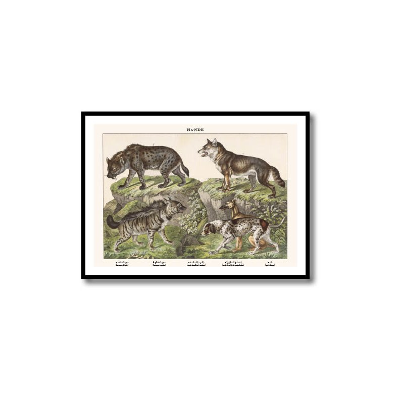 Natur plakat 50x70cm i ramme