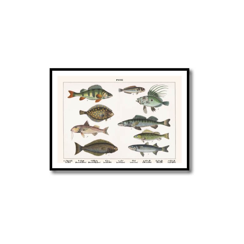 Natur plakat 50x70cm i ramme