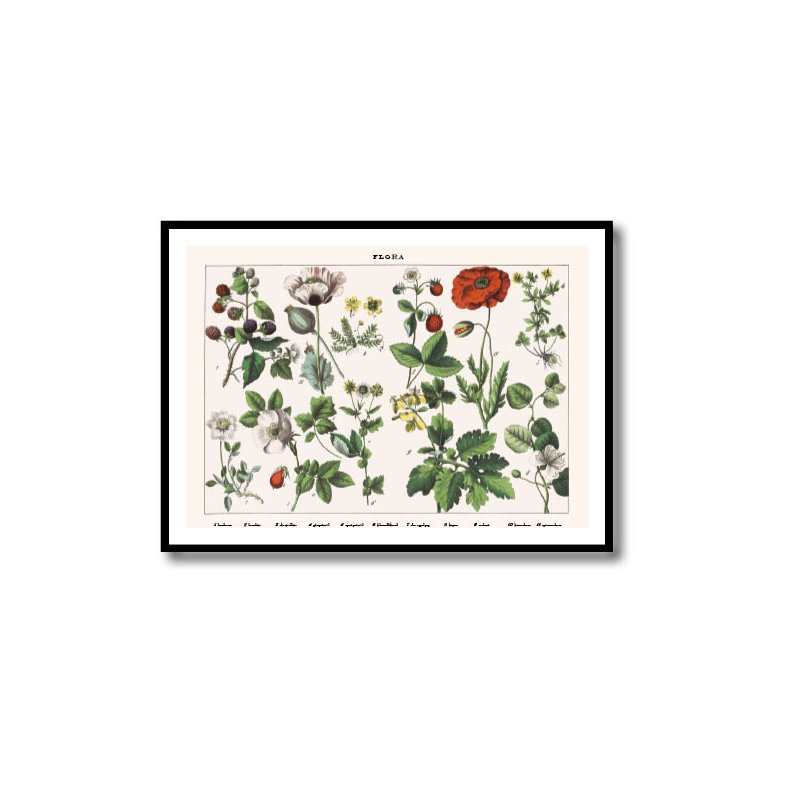 Natur plakat 50x70cm i ramme