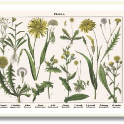 Nature poster 50x70cm in frame