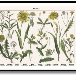 Nature poster 50x70cm in frame