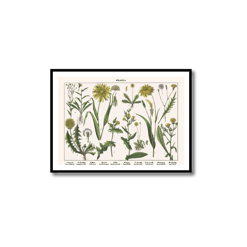 Natur plakat 50x70cm i ramme