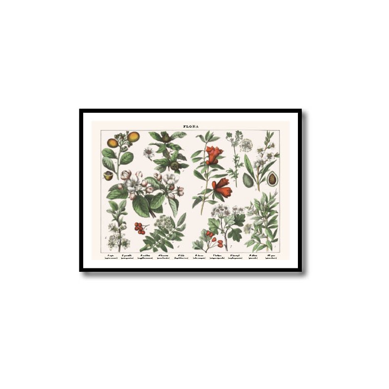 Natur plakat 50x70cm i ramme