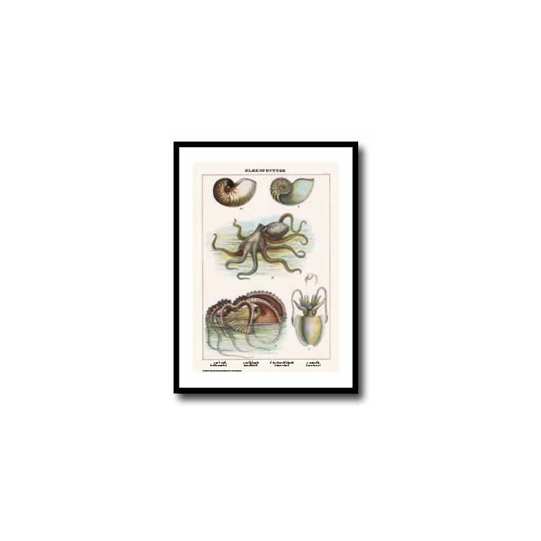 Natur plakat 50x70cm i ramme