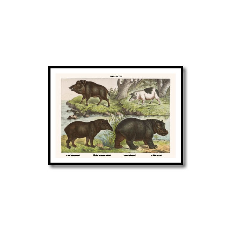 Natur plakat 50x70cm i ramme