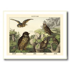 Natur plakat 30x40cm i hvid ramme