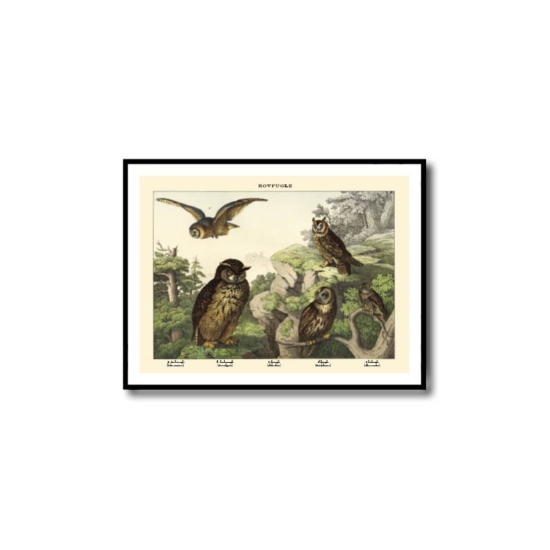 Natur plakat 50x70cm i ramme